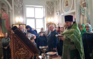 Вход Господень в Иерусалим. Неделя Ваий